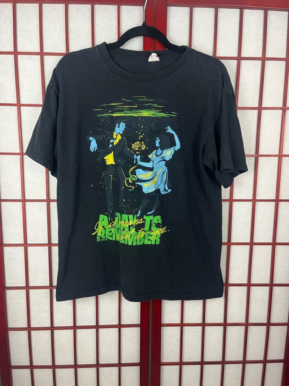 Vintage A Day To Remember If It Means a Lot to You T-Shirt